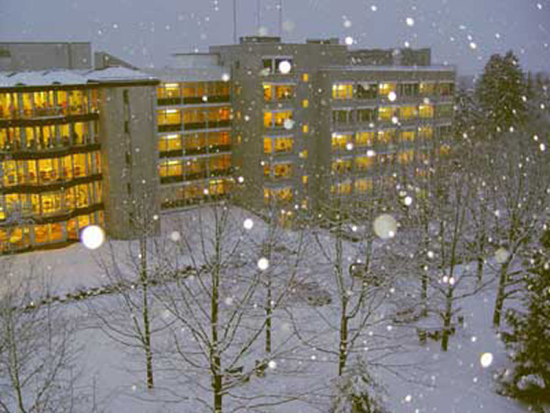 Quand la neige tombe ... Il n'y a (presque) plus de bruit ...